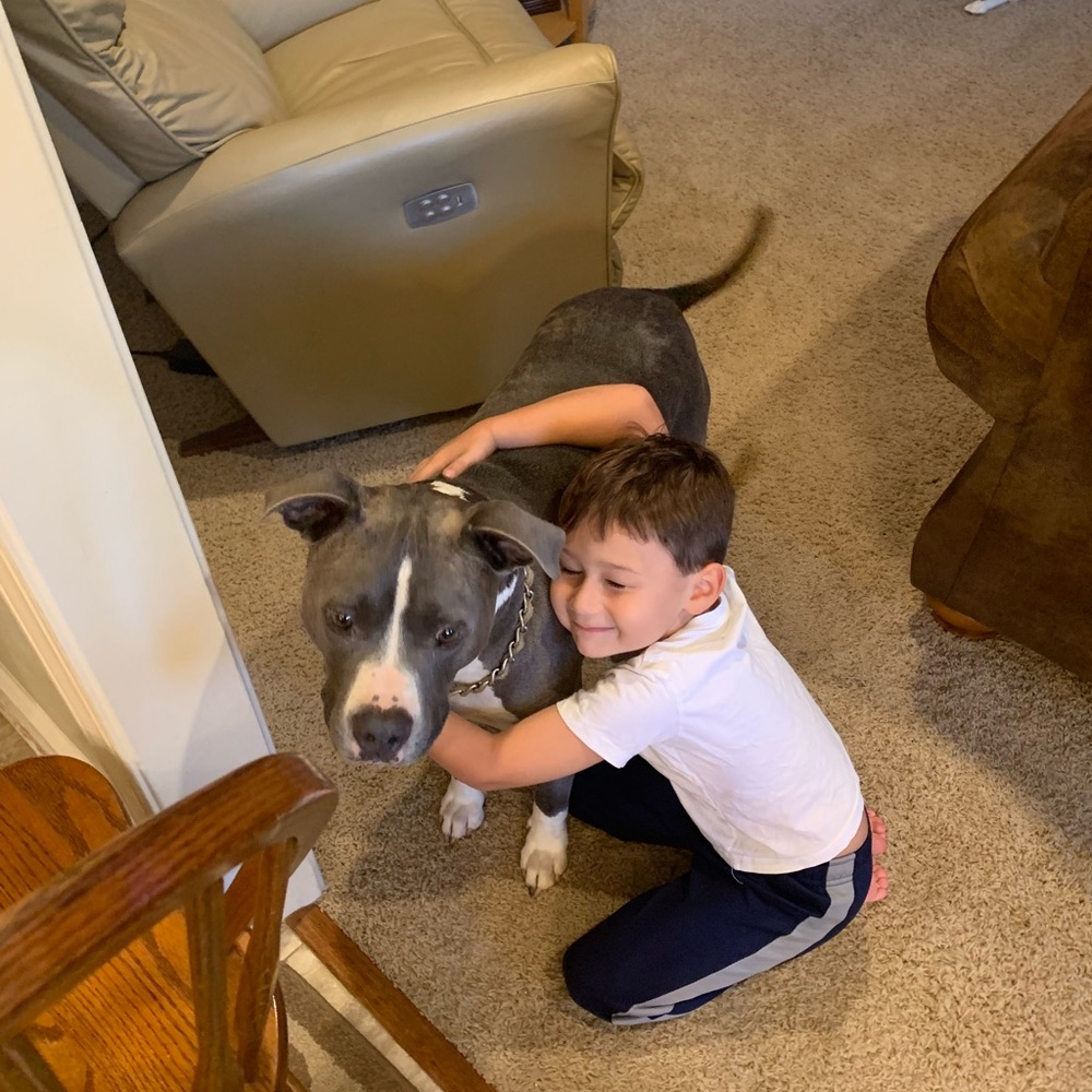 Meet your Posher, Joey